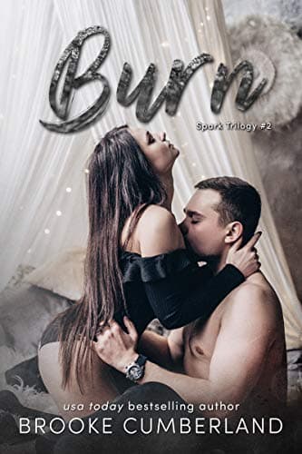 Burn book cover