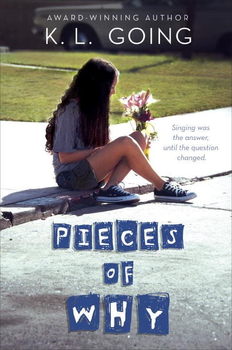 Pieces of Why book cover