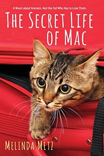 The Secret Life of Mac book cover