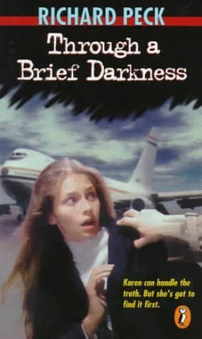 Through a Brief Darkness book cover
