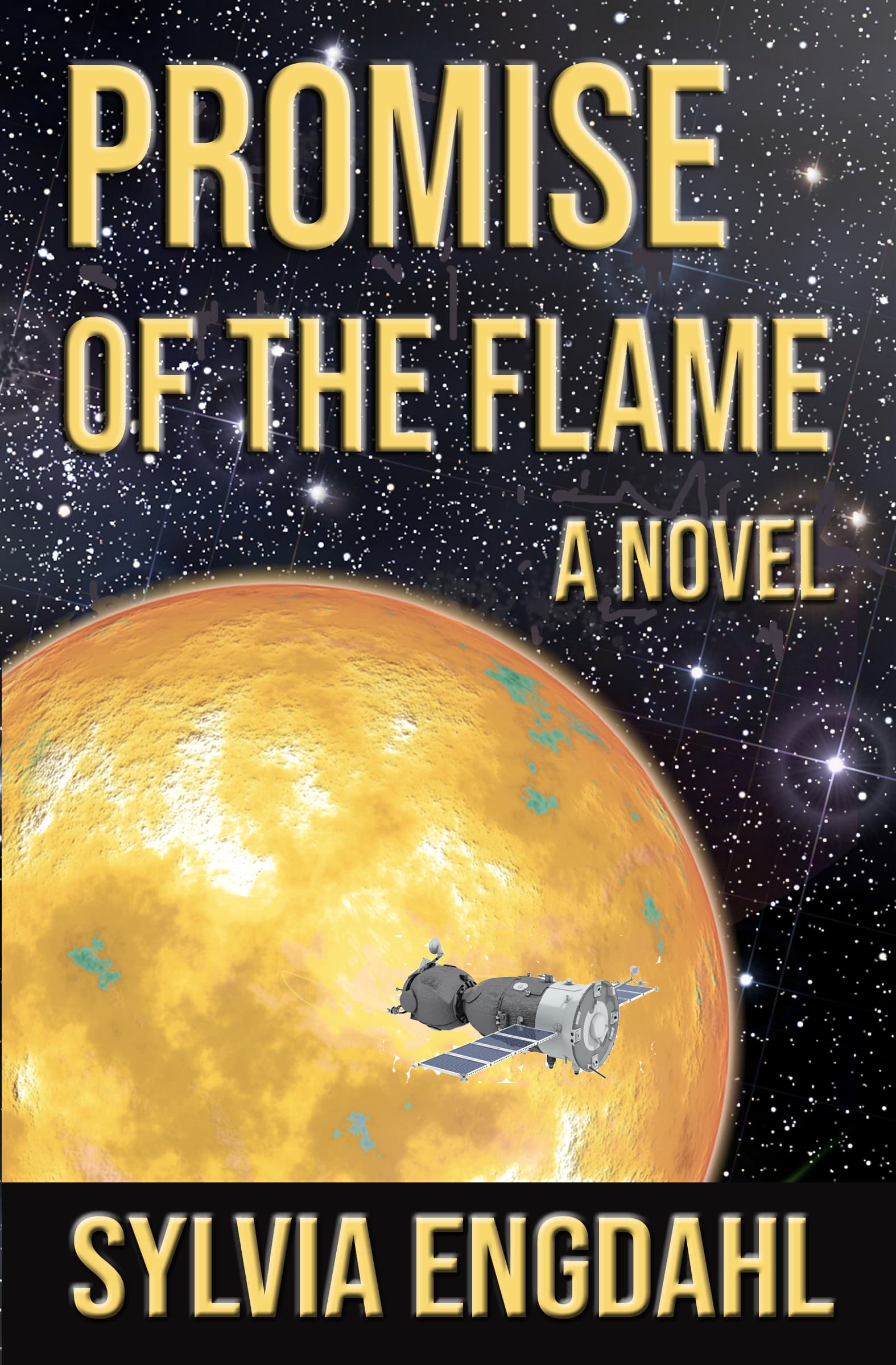 Promise of the Flame book cover