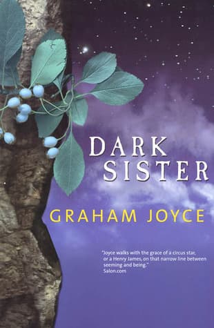 Dark Sister book cover
