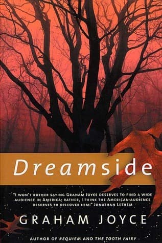 Dreamside book cover