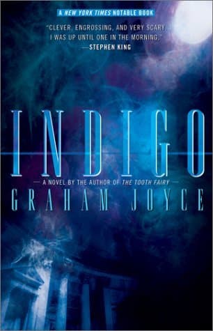 Indigo book cover