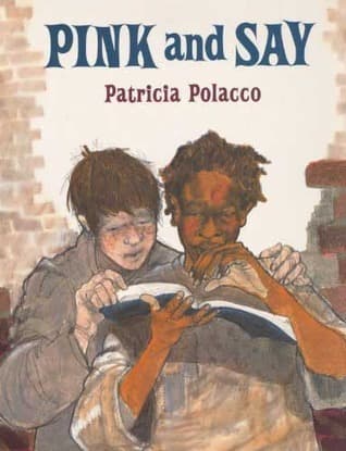 Pink and Say book cover