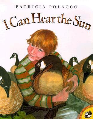 I Can Hear the Sun book cover