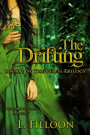 The Drifting book cover