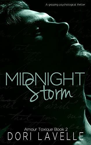Midnight Storm book cover