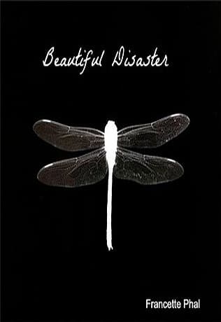 Beautiful Disaster book cover