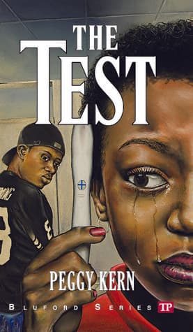 The Test book cover