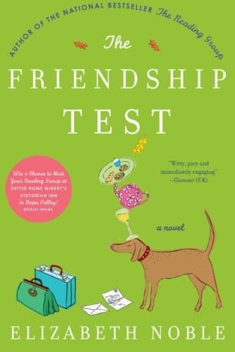 The Friendship Test book cover