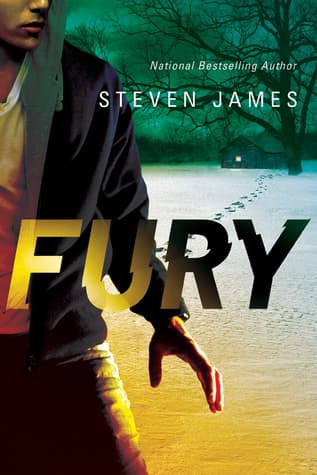 Fury book cover