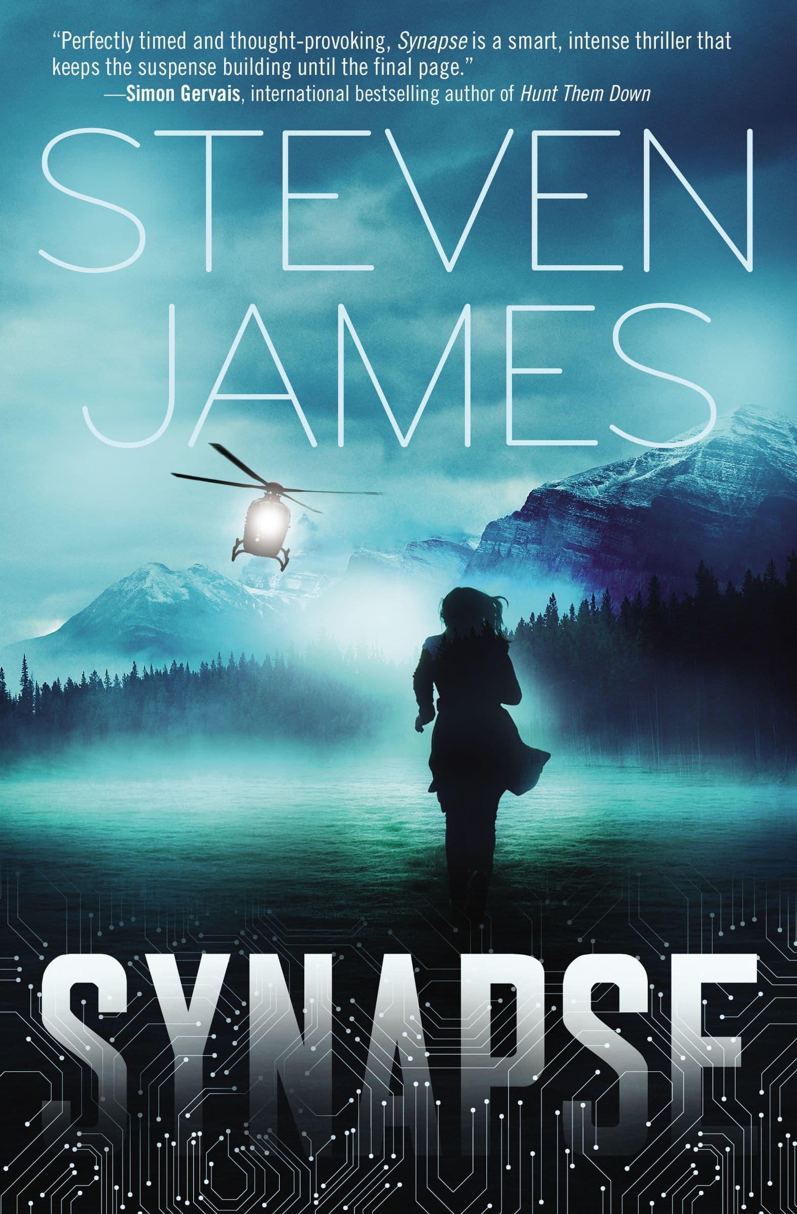 Synapse book cover