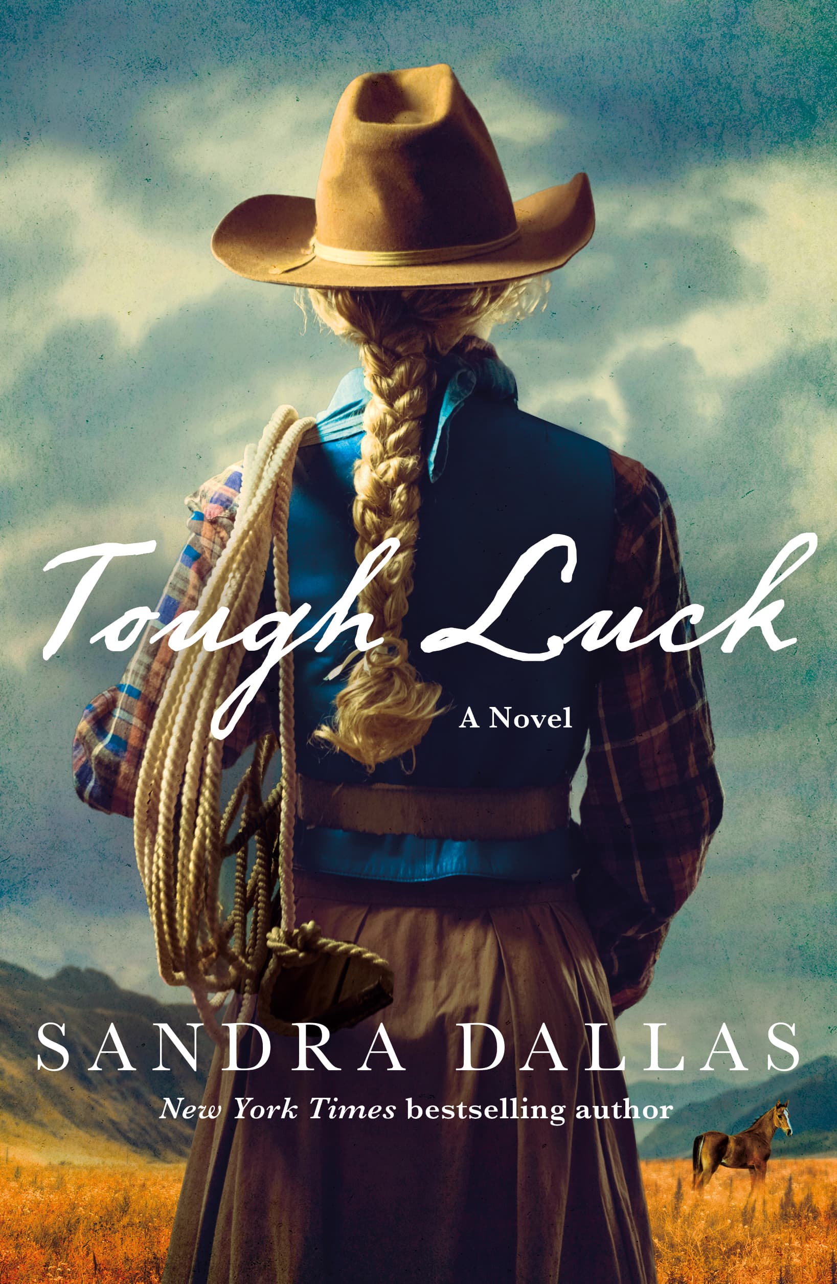 Tough Luck book cover