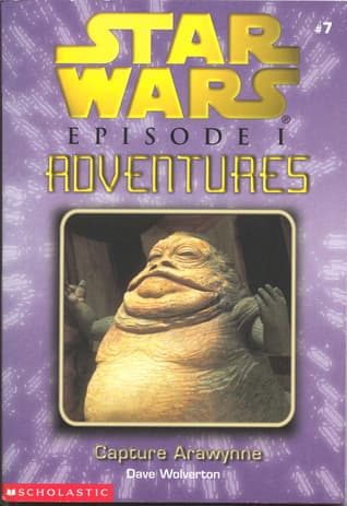 Capture Arawynne book cover