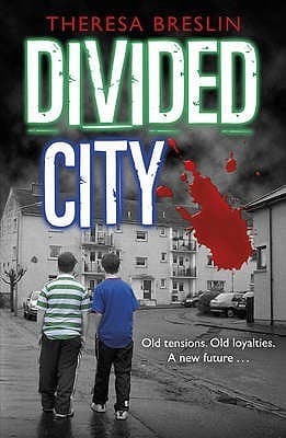 DIVIDED CITY book cover