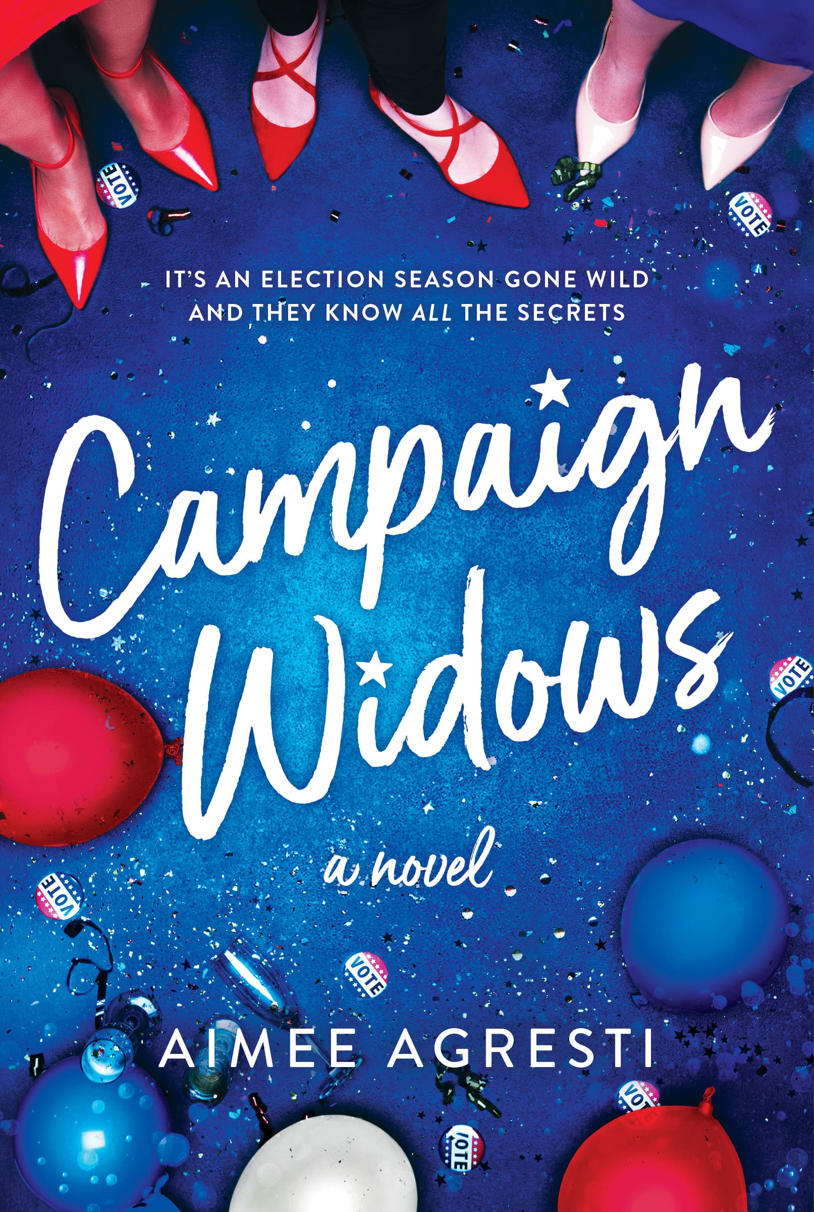 Campaign Widows book cover