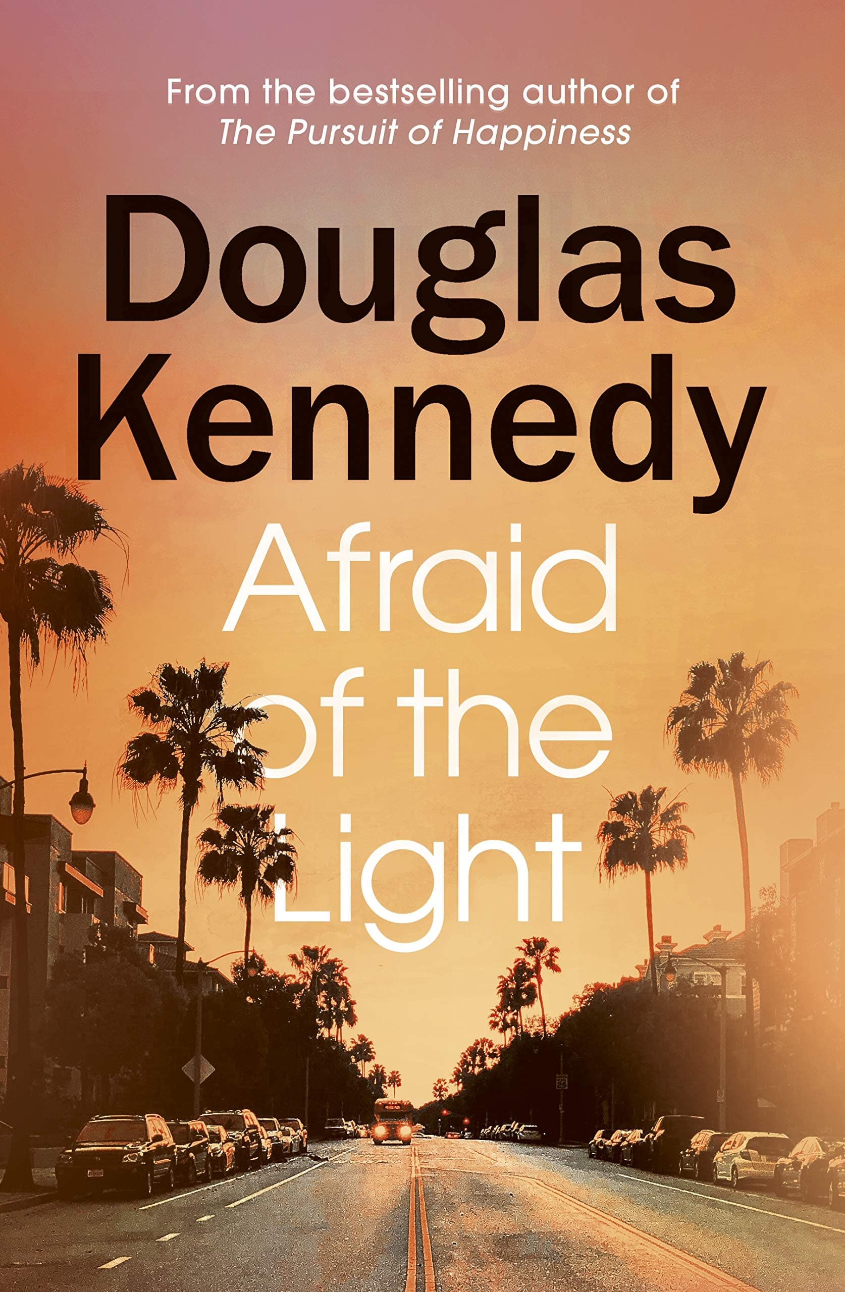 Afraid of the Light book cover