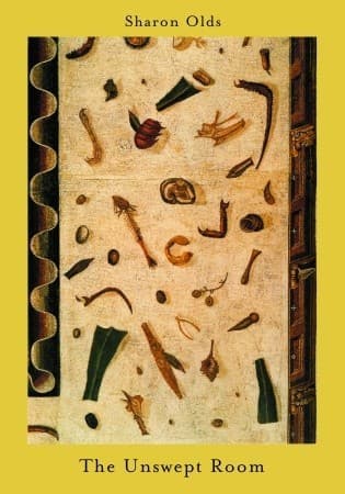 The Unswept Room book cover
