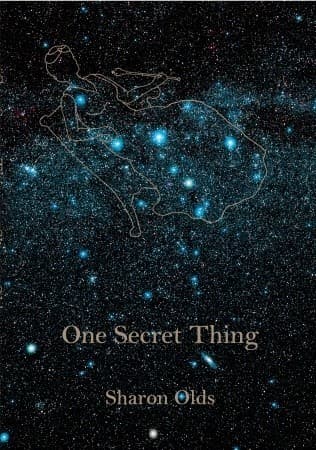One Secret Thing book cover