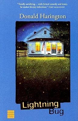 Lightning Bug book cover
