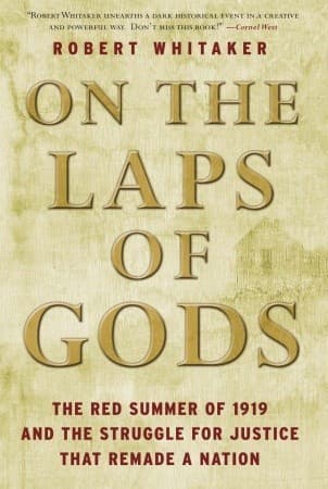 On the Laps of Gods: The Red Summer of 1919 and the Struggle for Justice That Remade a Nation book cover