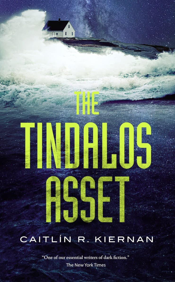 The Tindalos Asset book cover