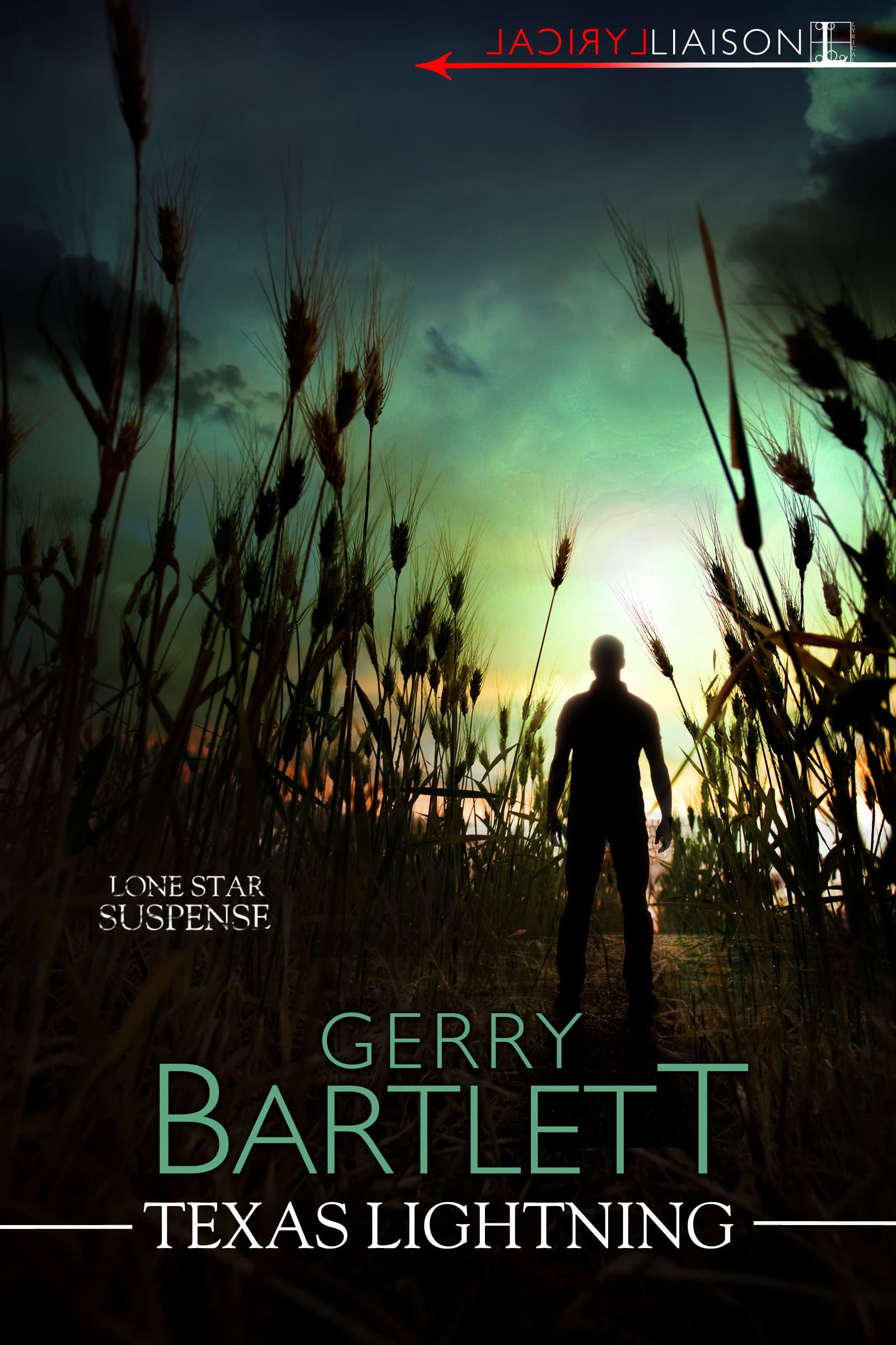 Texas Lightning book cover