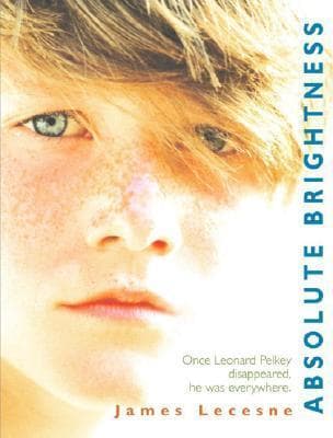 Absolute Brightness book cover