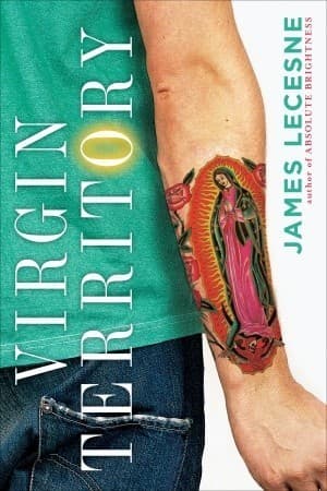 Virgin Territory book cover