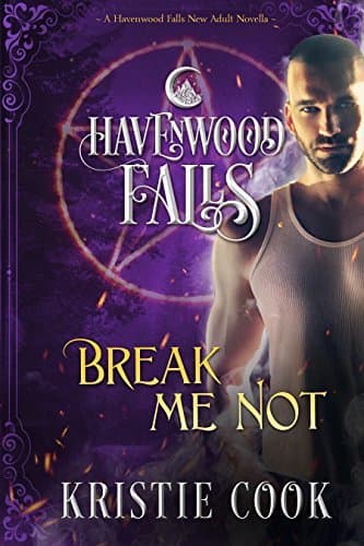 Break Me Not book cover