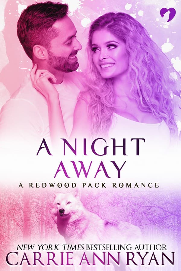 A Night Away book cover