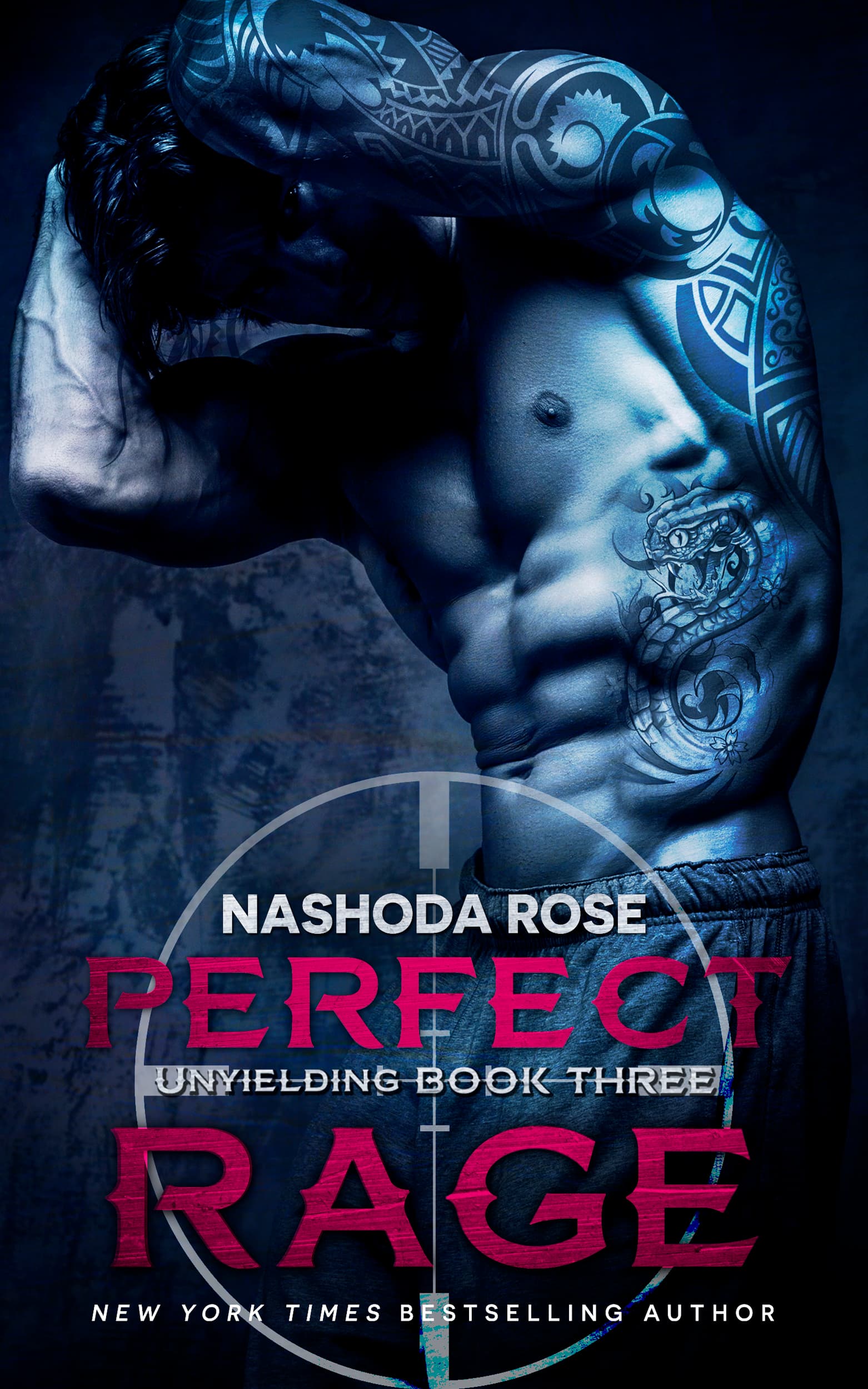 Perfect Rage book cover
