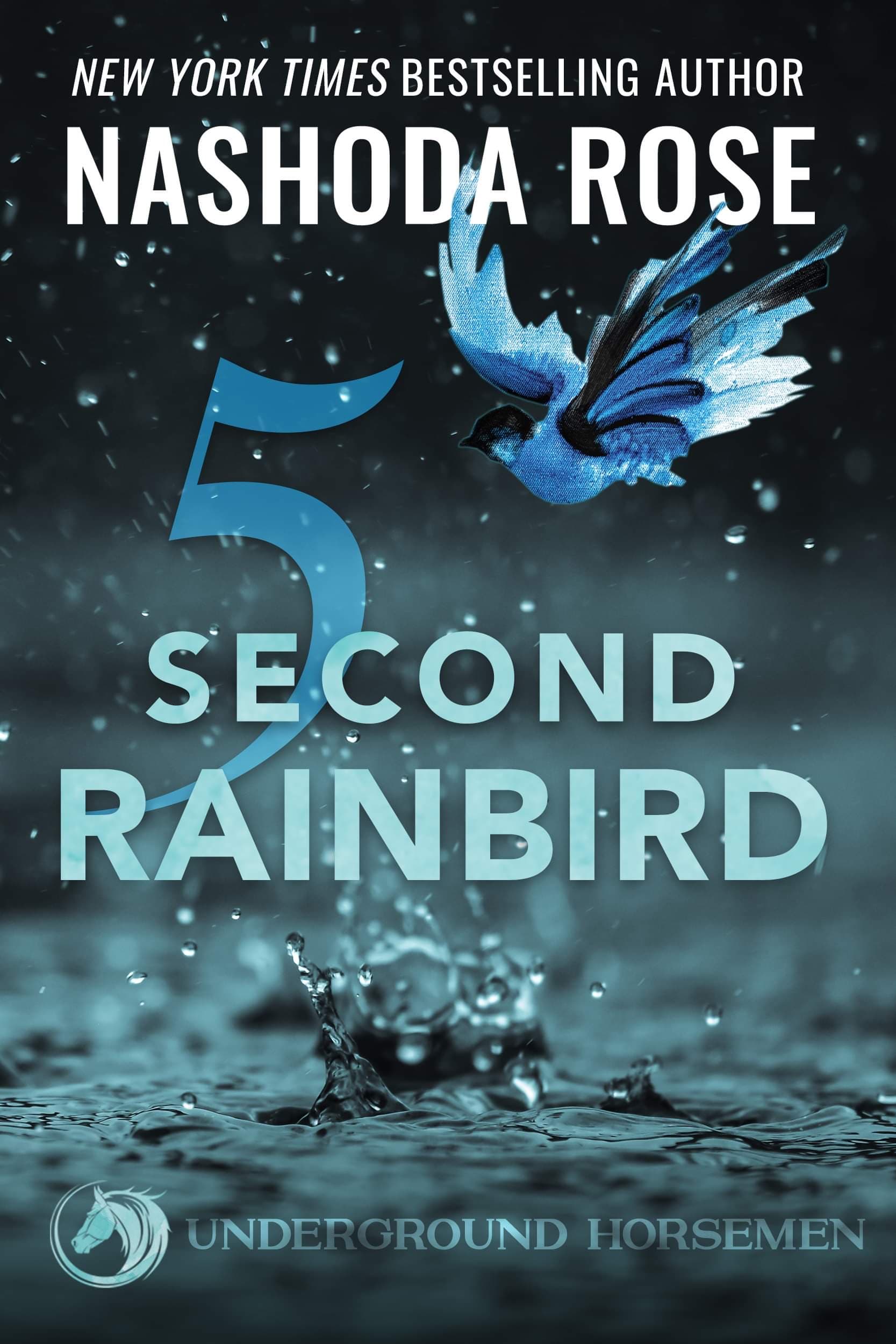 Five Second Rainbird book cover