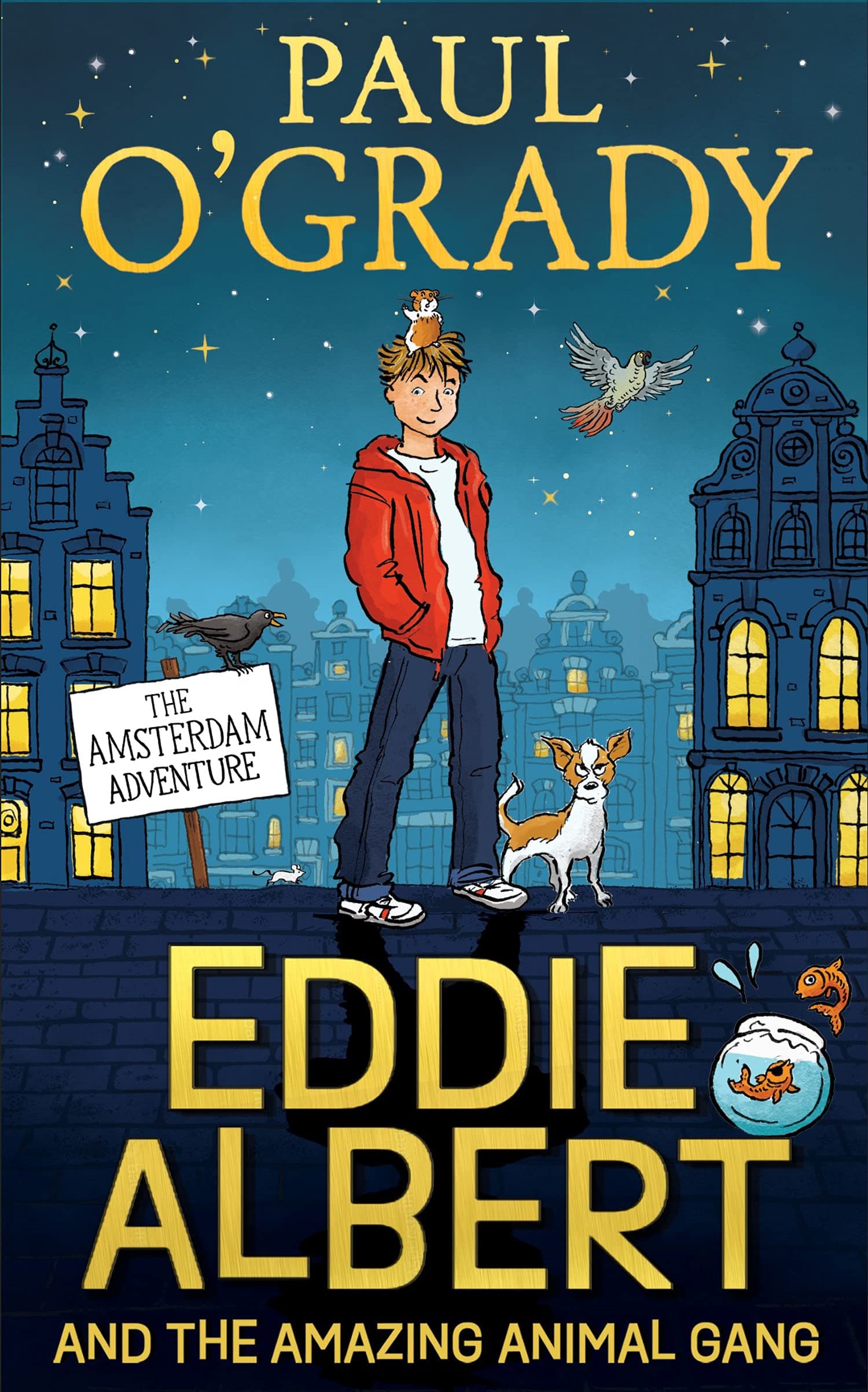 The Amsterdam Adventure book cover