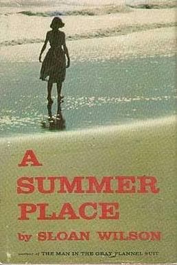 A Summer Place book cover