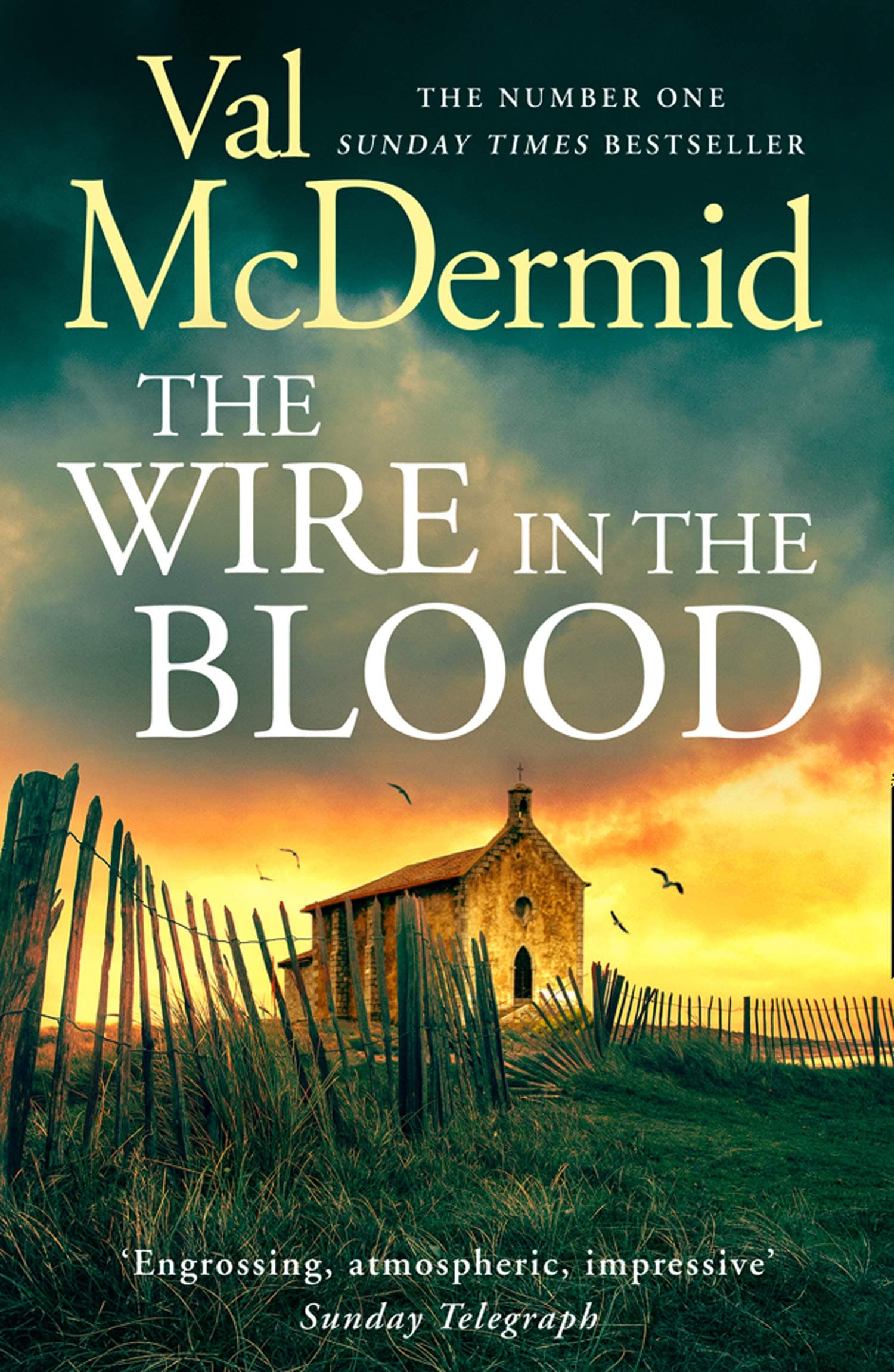 The Wire in the Blood (Tony Hill and Carol Jordan) book cover