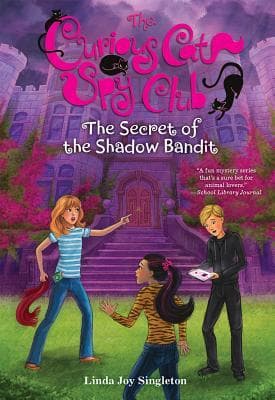 The Secret of the Shadow Bandit book cover