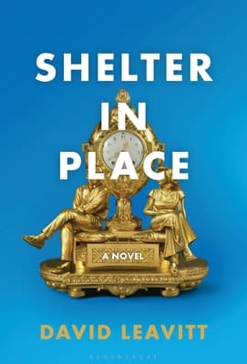 Shelter in Place book cover