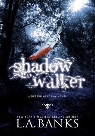 Shadow Walker book cover