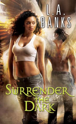Surrender the Dark book cover
