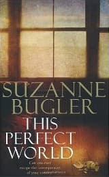 This Perfect World book cover