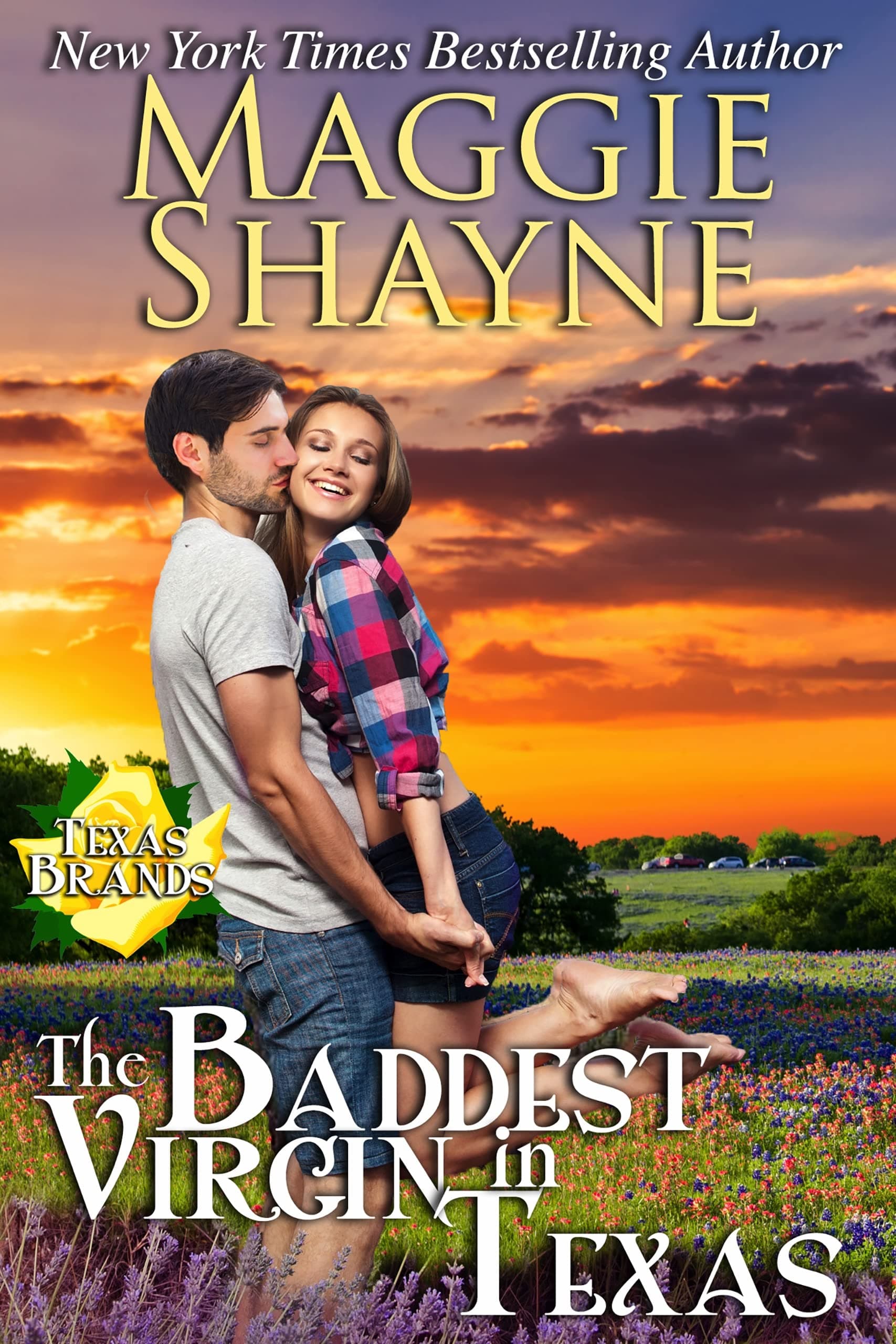 The Baddest Virgin in Texas book cover