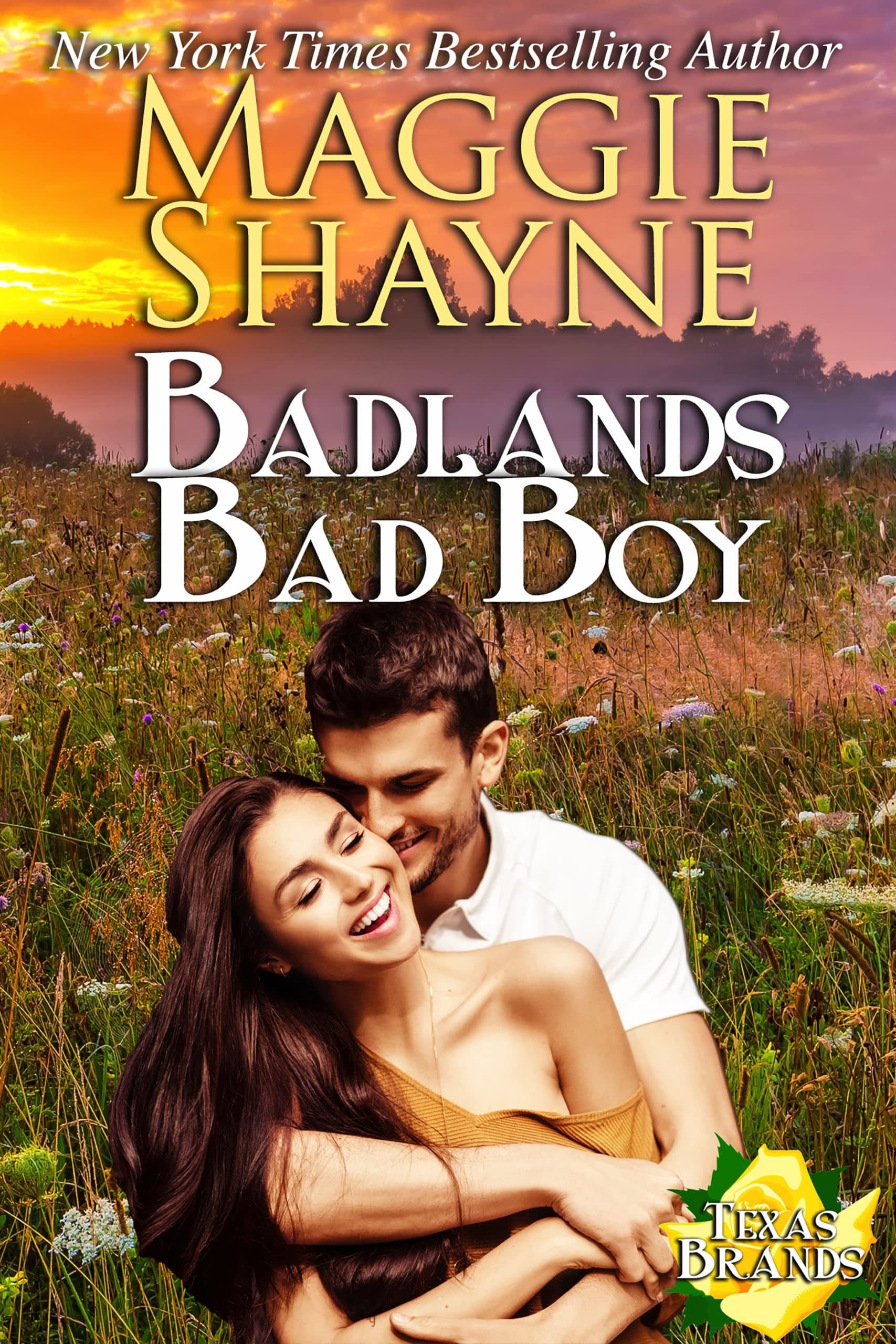Badlands, Bad Boy book cover