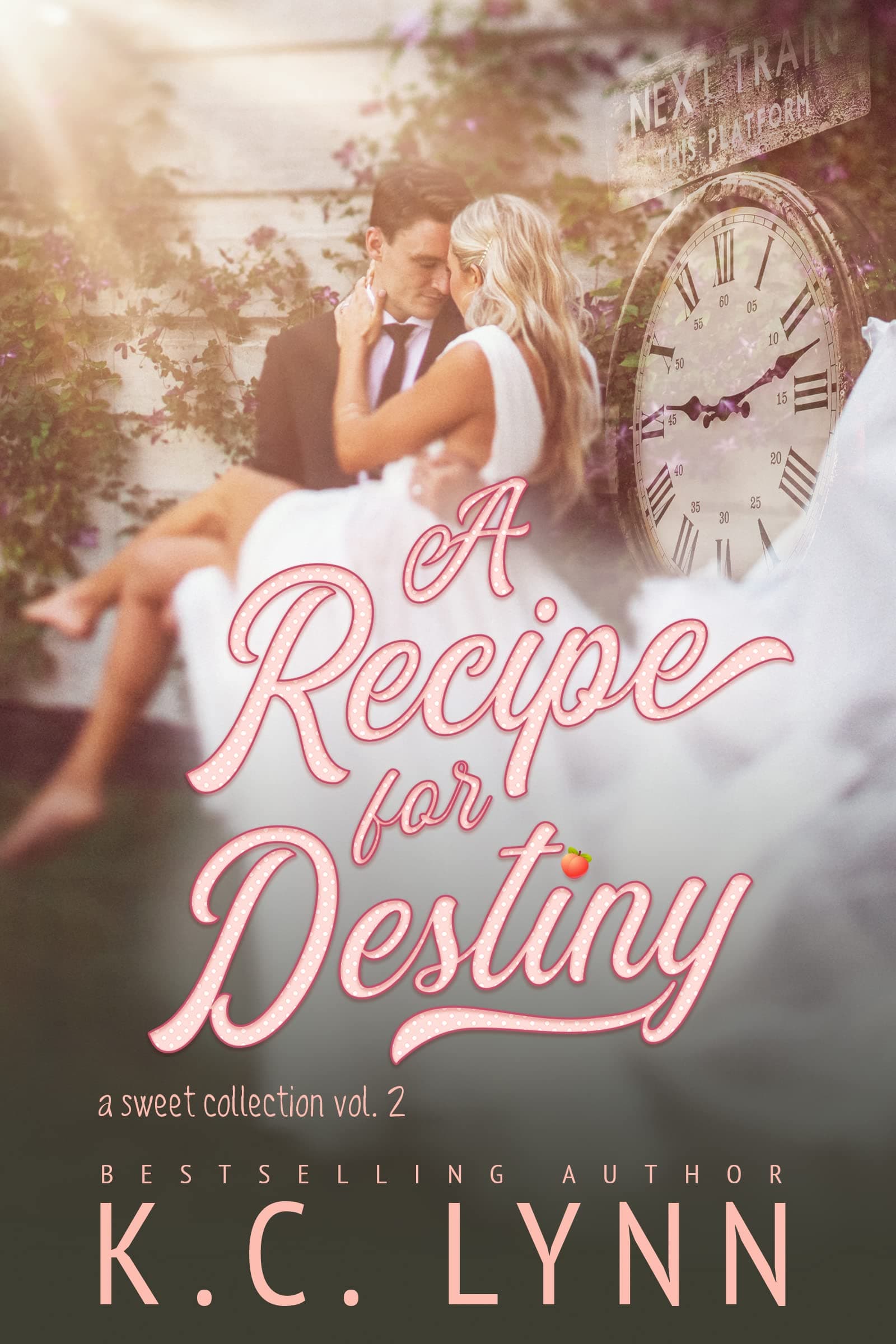 A Recipe for Destiny: A Sweet Collection Vol.2 book cover