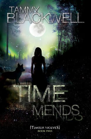 Time Mends book cover