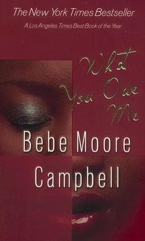 What You Owe Me book cover