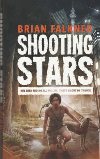 Shooting Stars book cover