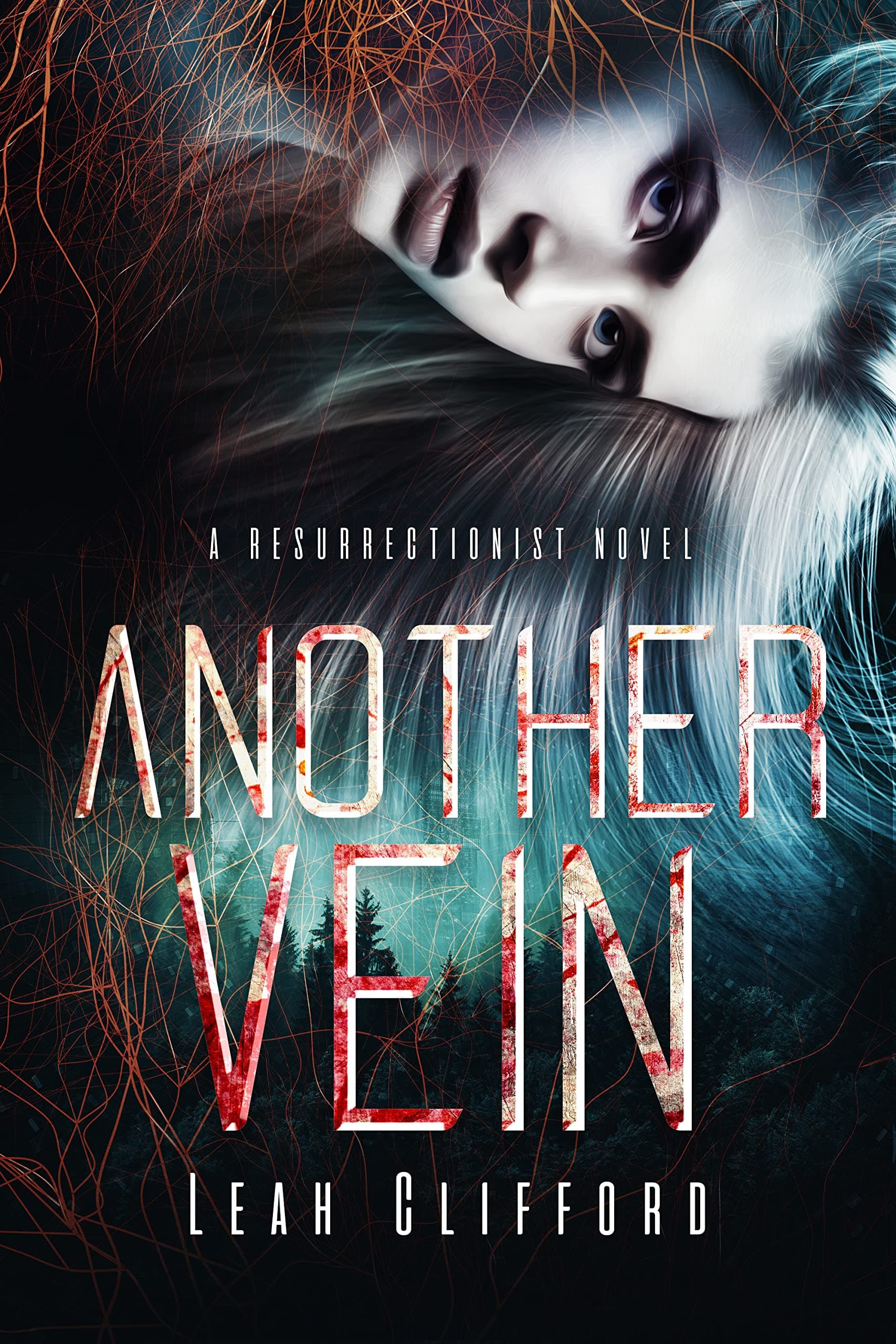 Another Vein book cover