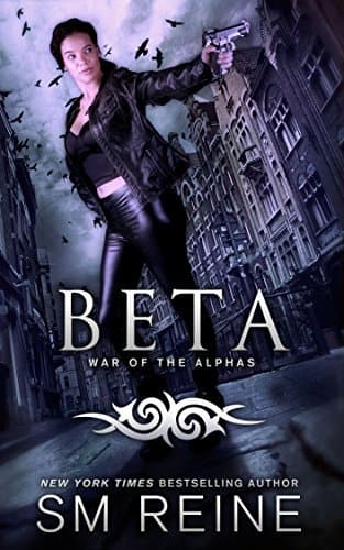 Beta book cover